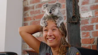 Cuccioli di koala!